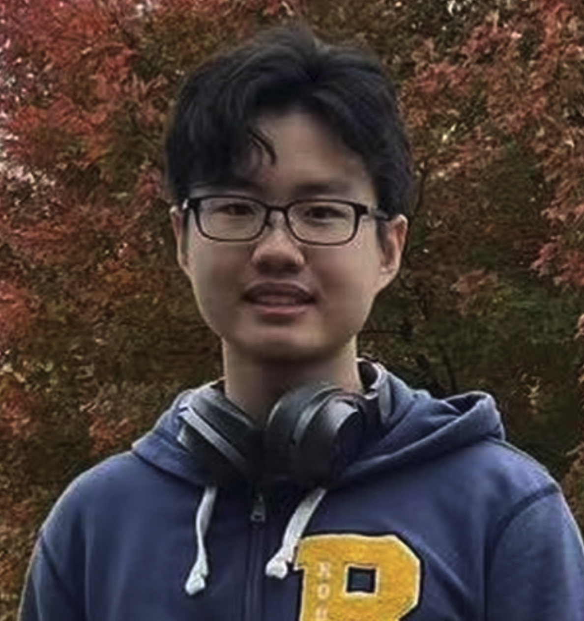 missing image